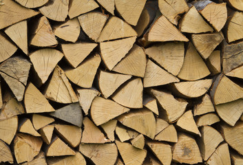 Stacks of logs