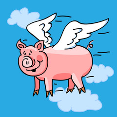Flying pig