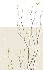 Spring fragile twigs
