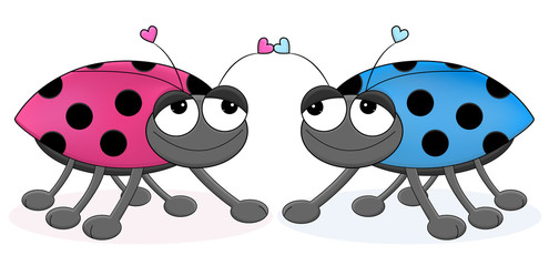 Cute cartoon lady bugs in love