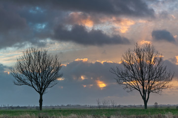 Ostfriesland im Januar