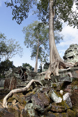 Ancient ruins at Angkor wat, Cambodia