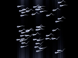 spermatozoi 3d