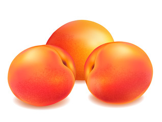 Fresh peach fruits. Vector