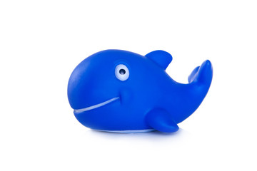 dolphin. rubber toy