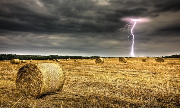 Unwetter - Feld und Blitz