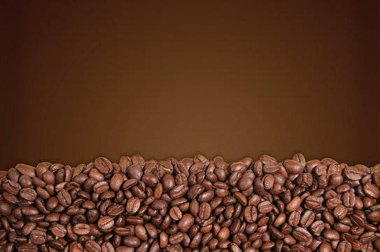 textura caf&eacute; + fodo horizontal