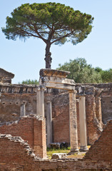 Fototapeta na wymiar Roman kolumny