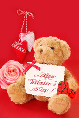 valentine`s greetings from teddy bear