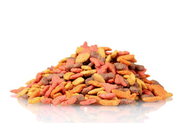 Dry cat food isolated on white