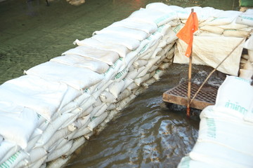 Obraz premium Massive flooding in Bangkok.