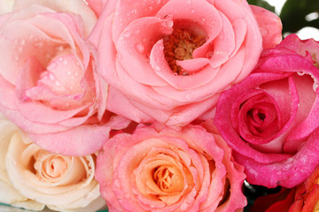 Bouquet of beautiful roses isolated on white