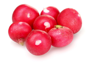 Fresh radish isolated on white