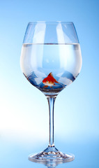 Goldfish in glass on blue background