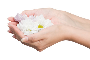 female hands with flower