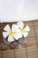 frangipani with towel spa concept