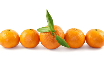 Ripe tangerines
