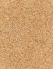 Buckwheat