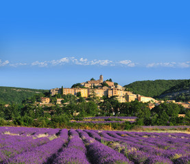 lavande au pied du village