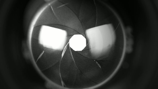 Diaphragm camera shutter blade