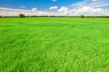 Green field, blue sky and white clouds