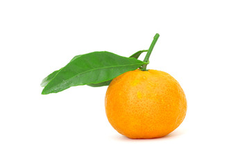 mandarin
