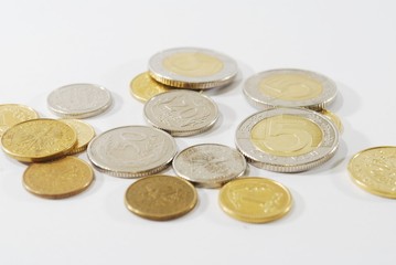 polish coins