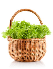Fototapeta premium green leaves lettuce in the basket isolated on white background