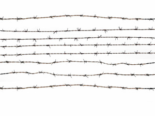 Barbed Wire