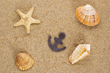 toylike anchor and seashells