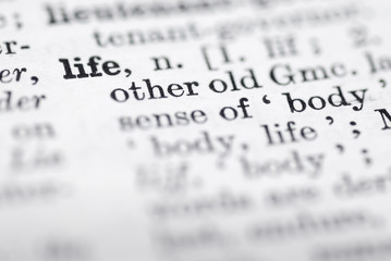 Life; Definition in English Dictionary. - obrazy, fototapety, plakaty