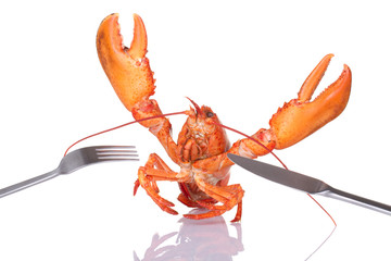 Lobster with fork and knife