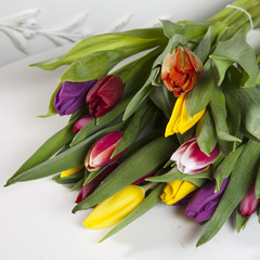 yellow, pink, red, violet tulips