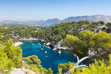 Foto op Canvas Calanques of Port Pin in Cassis © Samuel B.