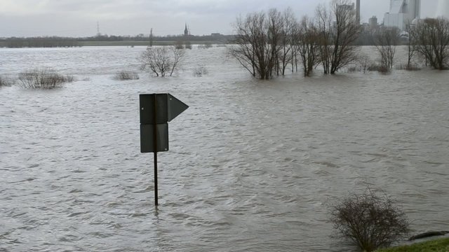 Wegweiser im Hochwasser
