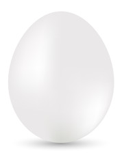 Vector white egg
