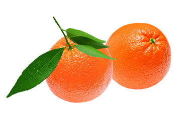 orange isolated on white background