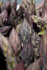 Schwarze Spargelspitzen