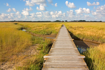Obraz premium Holzsteg durch Salzwiesen an der Nordsee bei Sankt Peter-Ording