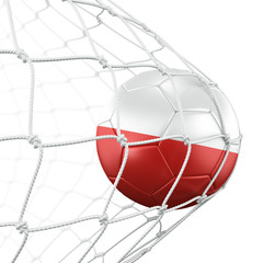 Poland soccerball in net