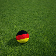 German soccerball lying on a grass field