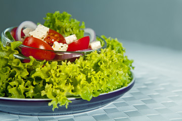 Greek salad in the plate
