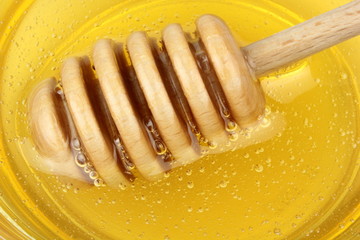 Honey and  honey dipper. Macro shot