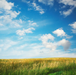 Fototapeta premium beautiful sky