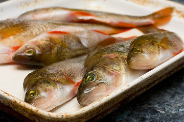 fresh fish prepared for cooking.