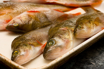 perch ready to cook.
