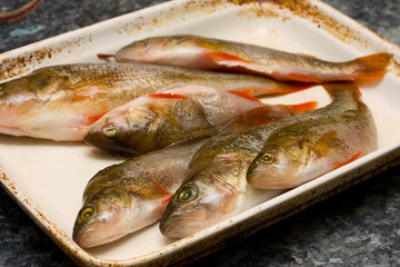 perch ready for cooking.