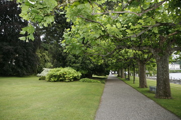 giardino verde
