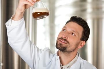 Beer brewer in his brewery
