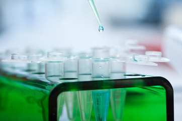 molecular biology